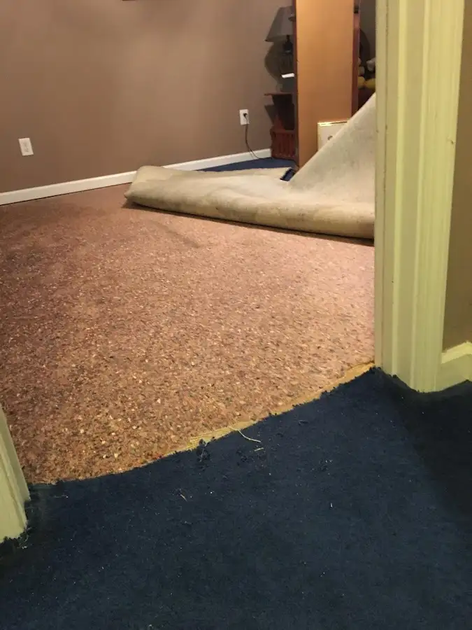Carpet pad removal revealing water damage during Water Mitigation Services in Cheshire